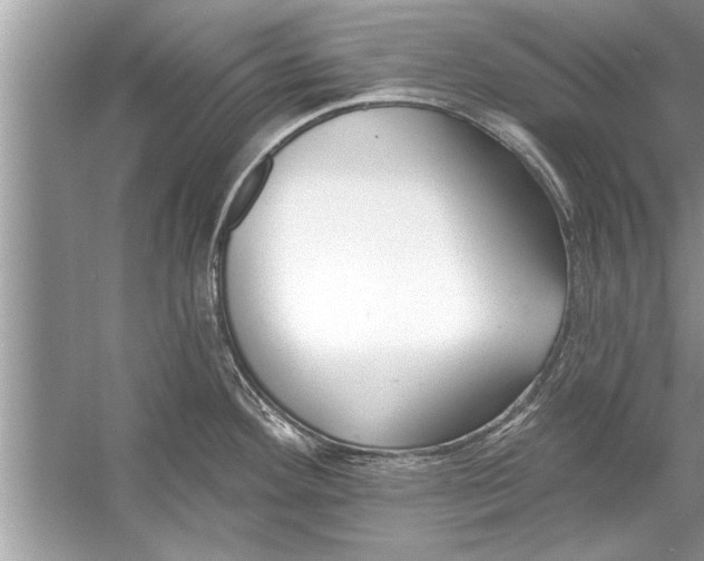 X0000056011292200509162334