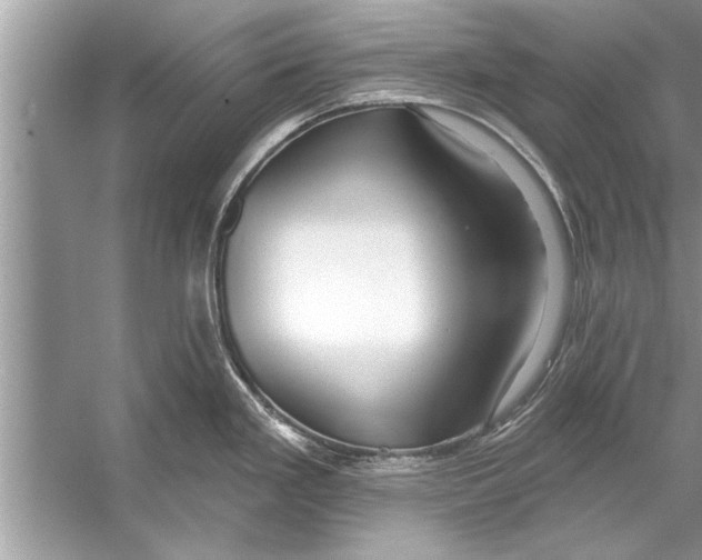 X0000056011293200509162334