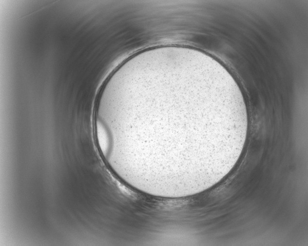 X0000056011294200509162334