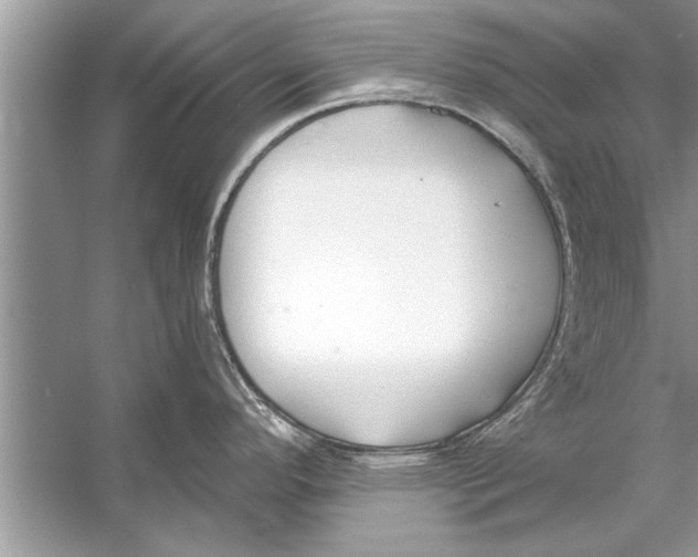 X0000056011296200509162334