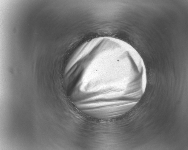 X0000056011297200509162333