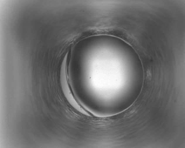 X0000056011300200509162333