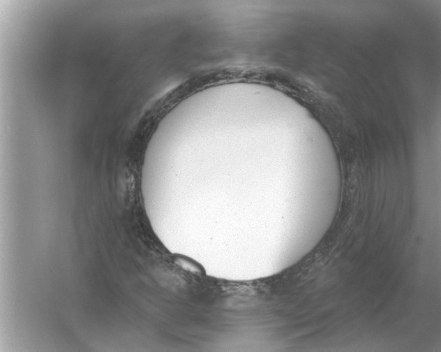 X0000056011302200509162333