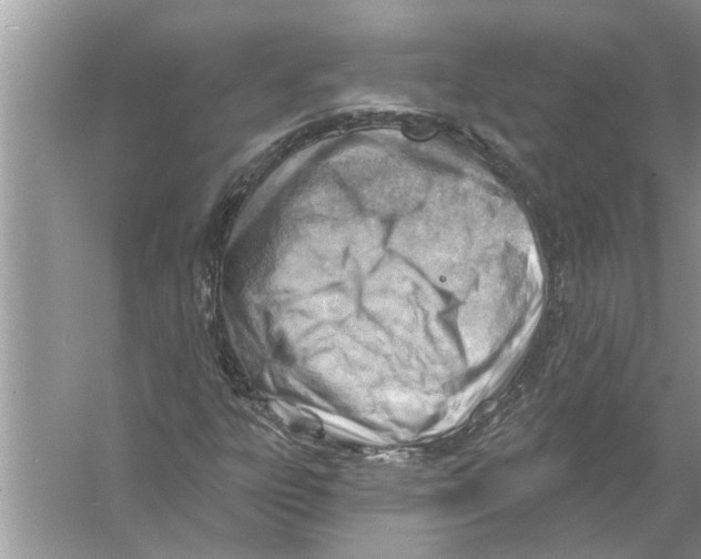 X0000056011303200509162333