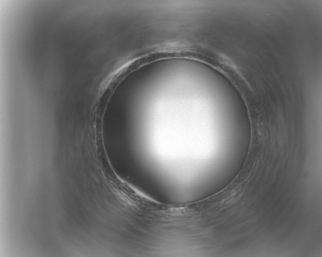 X0000056011304200509162333