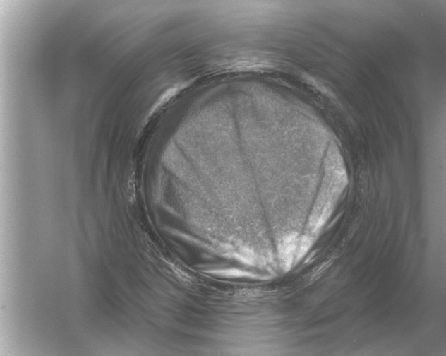 X0000056011306200509162333