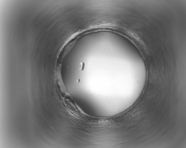 X0000056011316200509162334