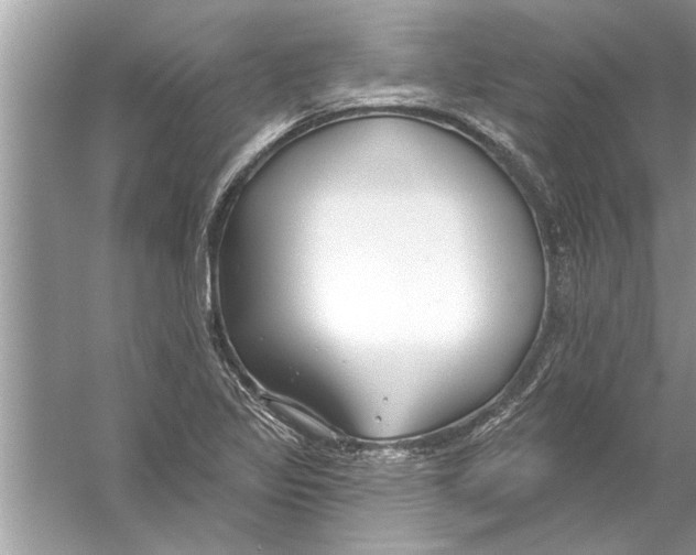 X0000056011317200509162334