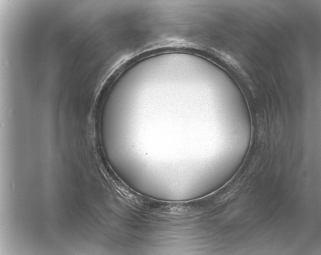 X0000056011318200509162334