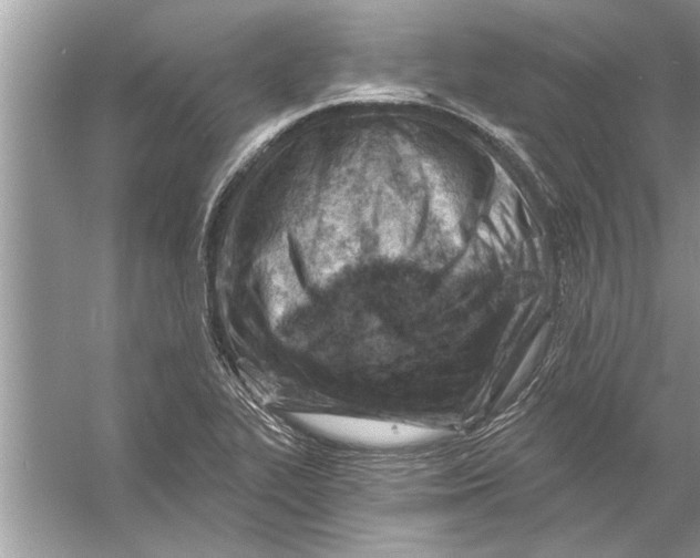 X0000056011319200509162334