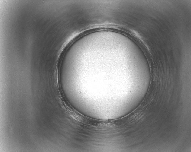 X0000056011320200509162334