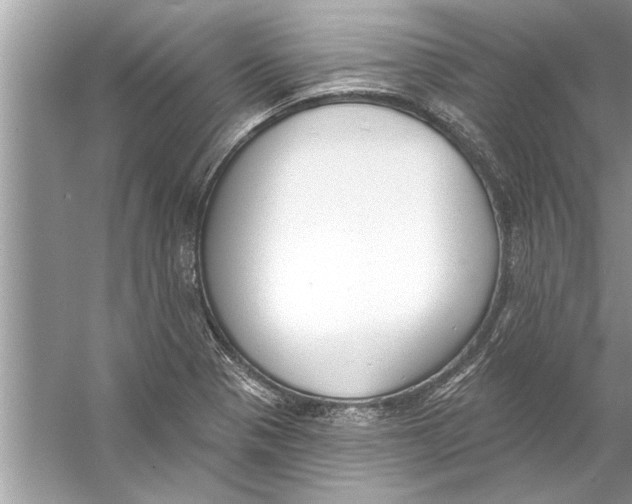 X0000056011321200509162334