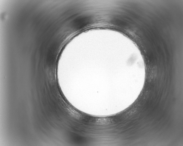 X0000056011322200509162334