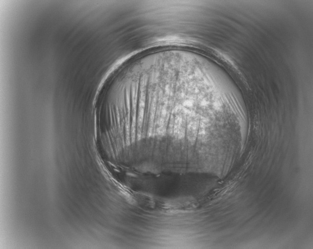 X0000056011323200509162334