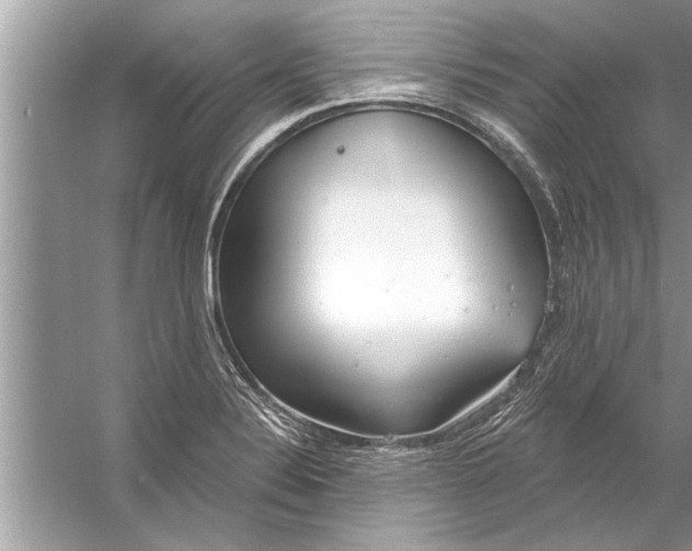 X0000056011324200509162334