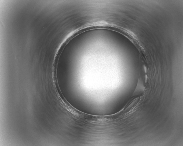 X0000056011326200509162334