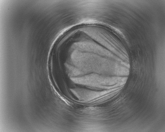 X0000056011327200509162334