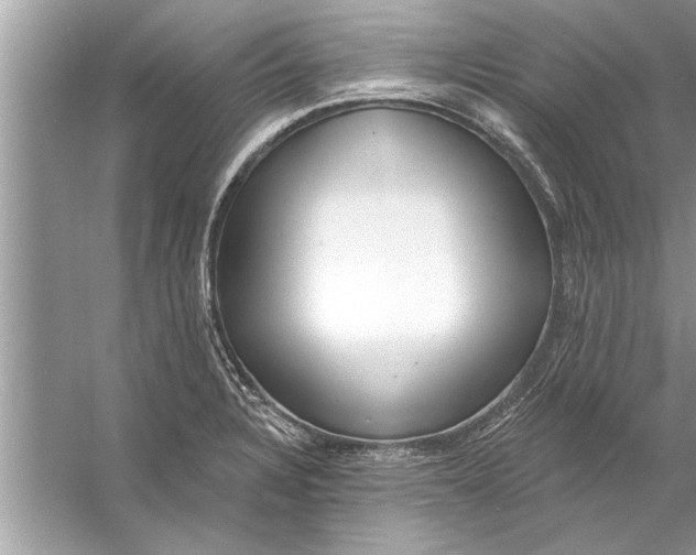 X0000056011328200509162334