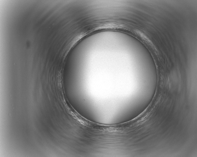 X0000056011329200509162334