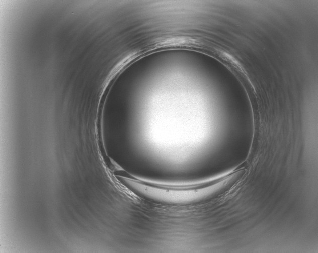 X0000056011330200509162334