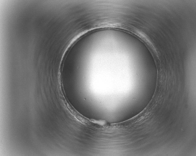 X0000056011332200509162334