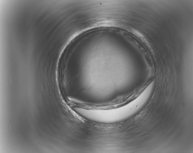 X0000056011334200509162334