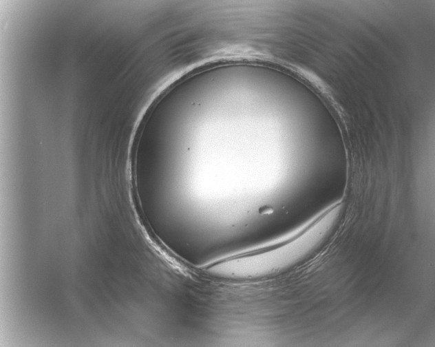 X0000056011335200509162334