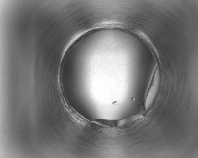 X0000056011336200509162334