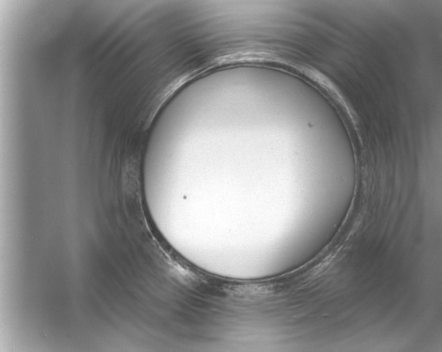 X0000056011337200509162334