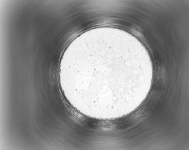 X0000056011338200509162334