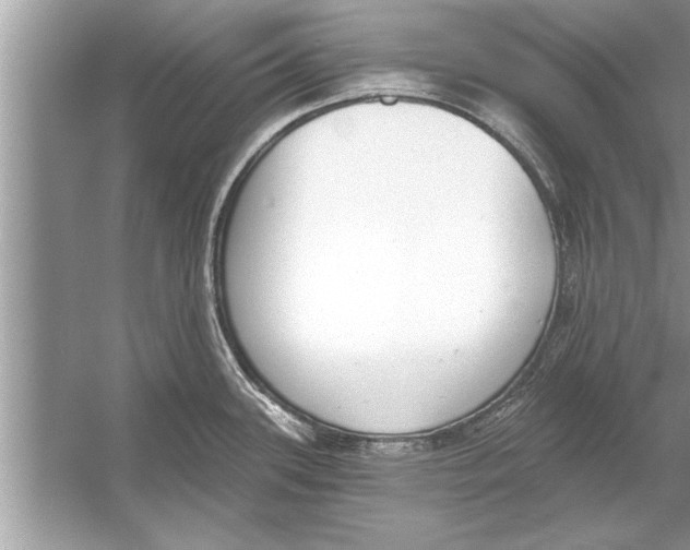 X0000056011339200509162334