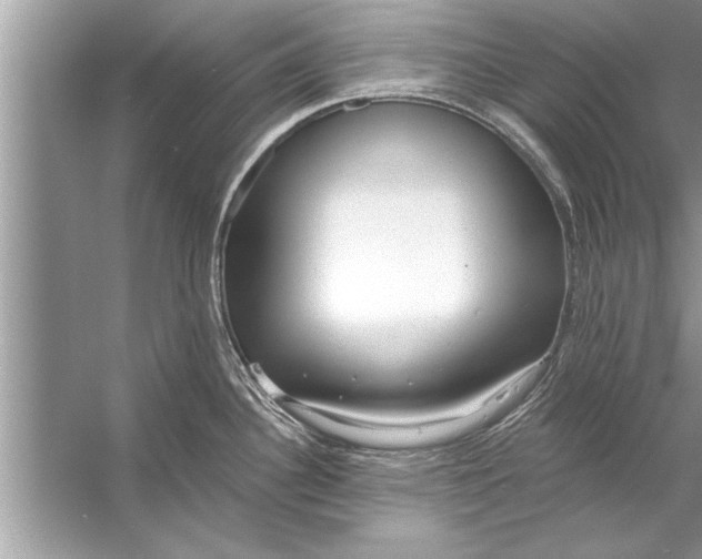 X0000056011340200509162334