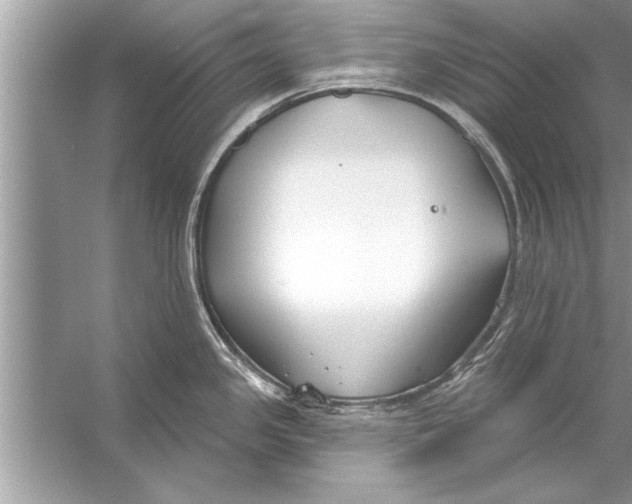 X0000056011341200509162334