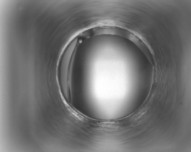 X0000056011342200509162334