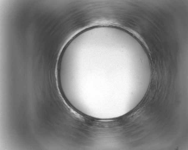 X0000056011343200509162334