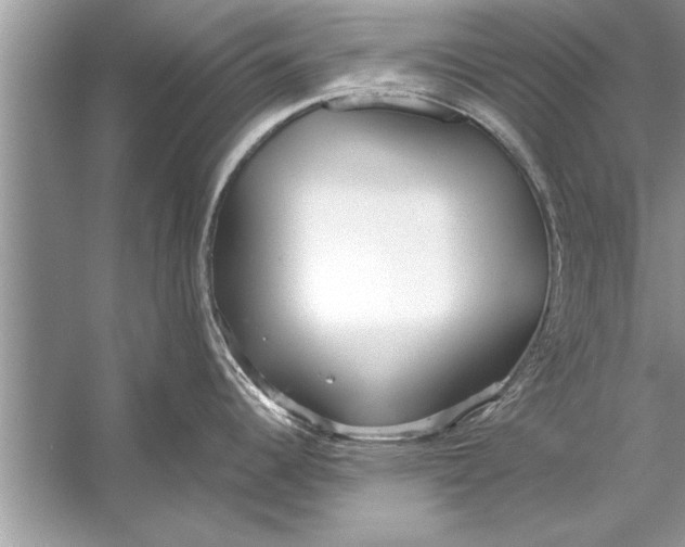 X0000056011344200509162334