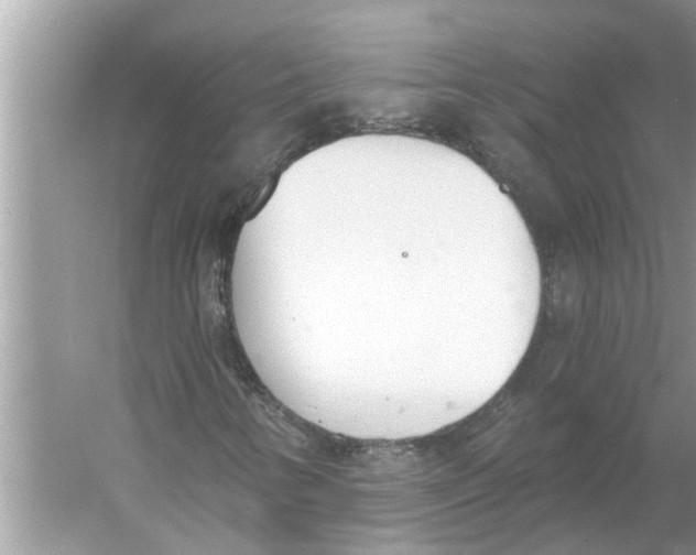 X0000056011346200509162333