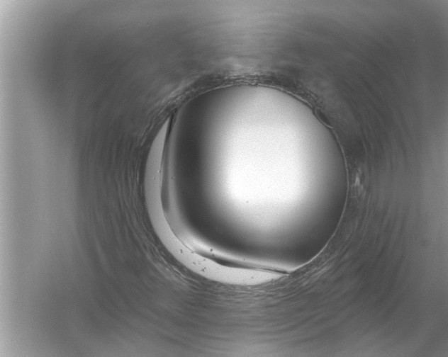 X0000056011348200509162333