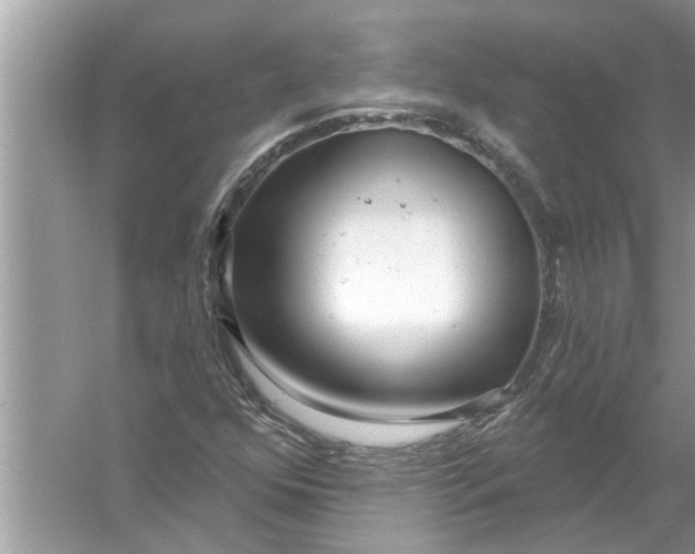 X0000056011352200509162333