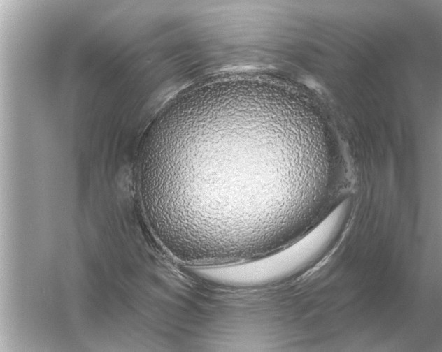 X0000056011353200509162333