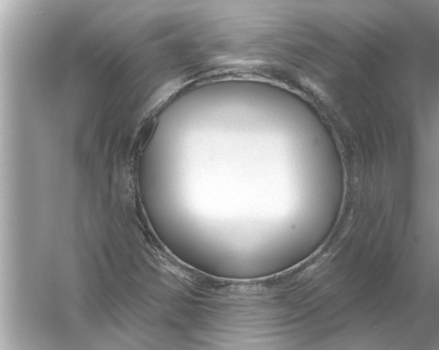 X0000056011354200509162333