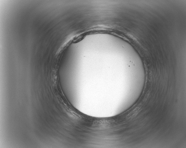 X0000056011355200509162333