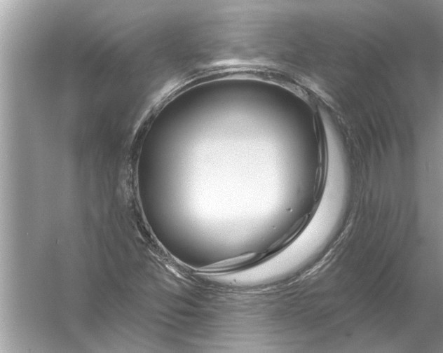 X0000056011357200509162333