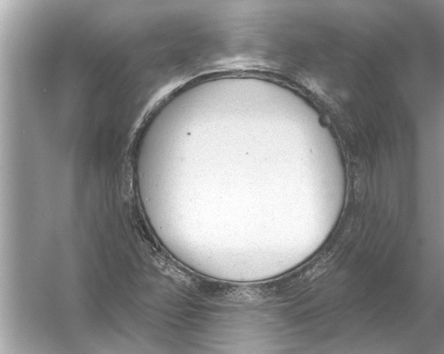 X0000056011358200509162333