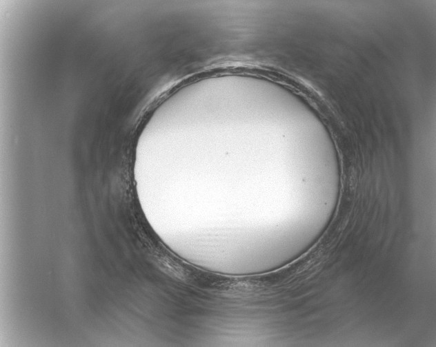 X0000056011359200509162333