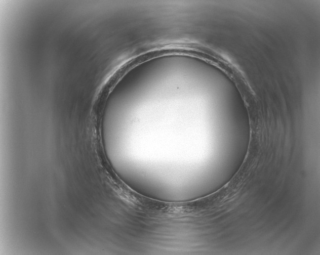 X0000056011360200509162333