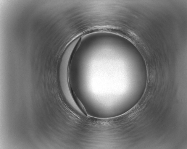 X0000056011361200509162333