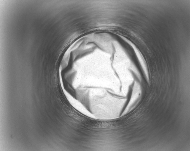 X0000056011362200509162333