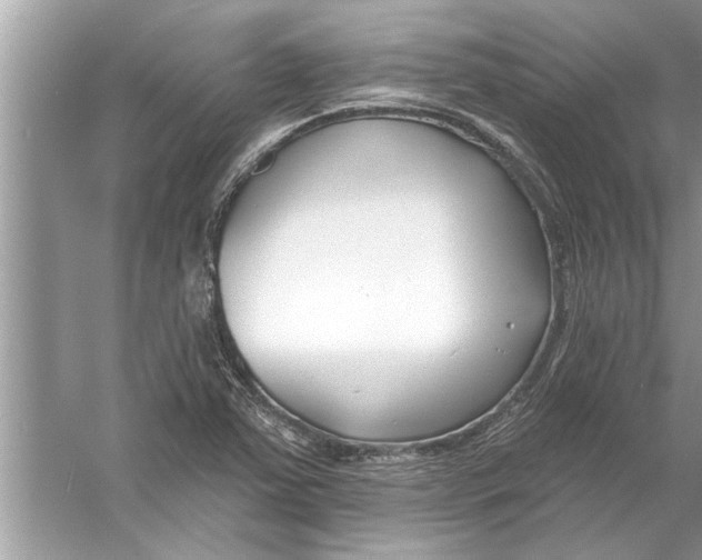 X0000056011363200509162333