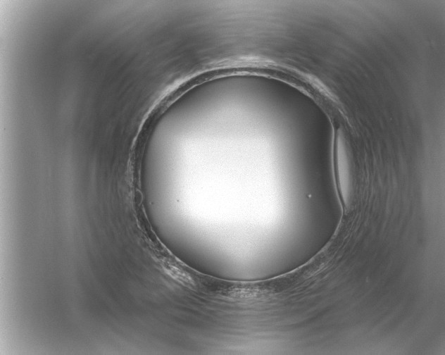 X0000056011364200509162333